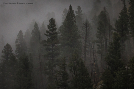 Durango & Silverton Narrow Guage Railroad