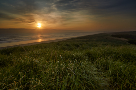 Port Stevens State Park, Oregon
