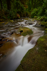 Short Sand Creek, Oregon