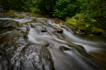 Short Sand Creek, Oregon