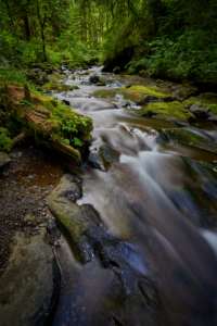 Short Sand Creek, Oregon