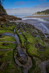 Short Sand Beach, Oregon