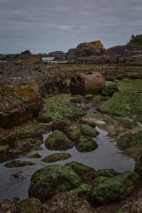 Boiler Bay, Oregon