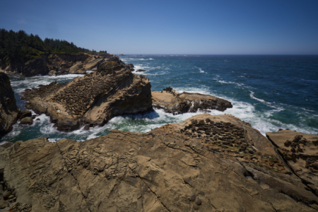Shore Acres State Park, Oregon