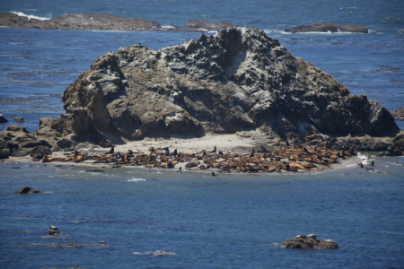 Shore Acres State Park, Oregon
