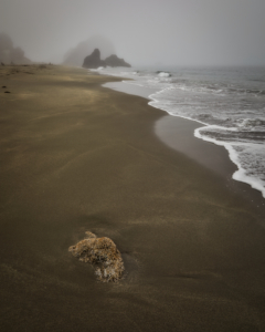 Harris Beach, Oregon