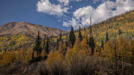 Cinnamon Pass Road, Colorado