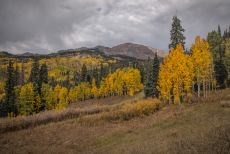 Kebler Pass, Colorado