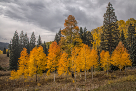 Kebler Pass, Colorado