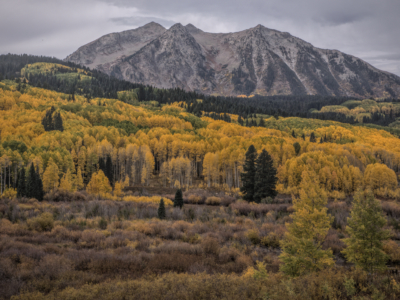 Kebler Pass, Colorado