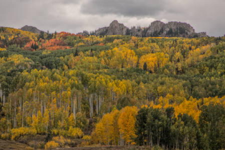 Kebler Pass, Colorado