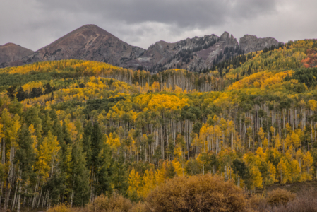 Kebler Pass, Colorado