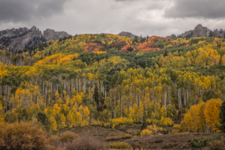 Kebler Pass, Colorado