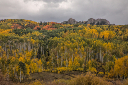Kebler Pass, Colorado