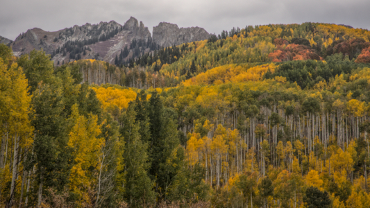 Kebler Pass, Colorado