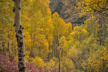 Maroon Bells, Colorado