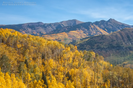 Autumn In Colorado