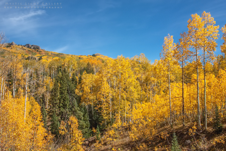 Autumn In Colorado