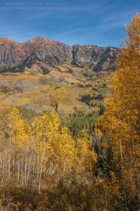 Autumn In Colorado