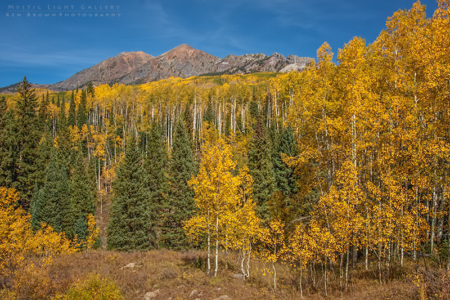 Autumn In Colorado