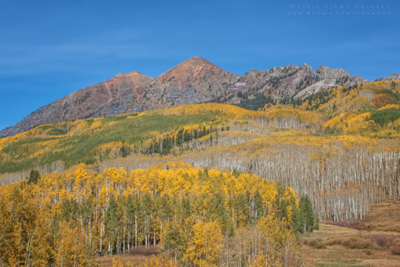 Autumn In Colorado