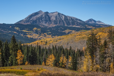 Autumn In Colorado