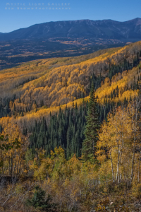 Autumn In Colorado