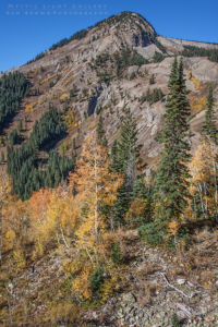 Autumn In Colorado