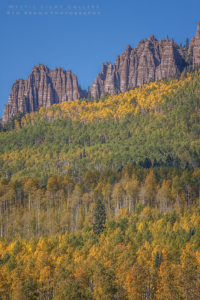 Autumn In Colorado