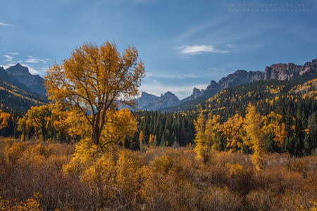 Autumn In Colorado