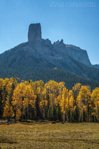 Autumn In Colorado