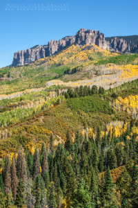 Autumn In Colorado
