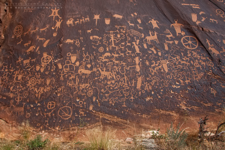 Canyonlands - The Needles District