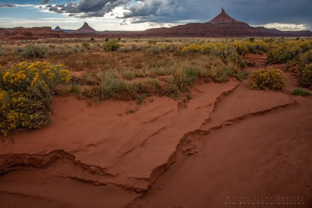 Canyonlands - The Needles District