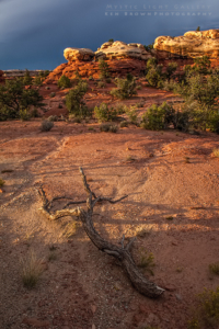 Canyonlands - The Needles District