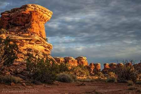 Canyonlands - The Needles District