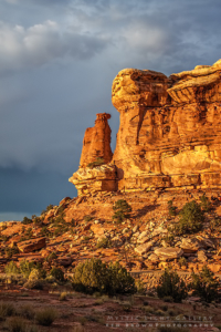 Canyonlands - The Needles District