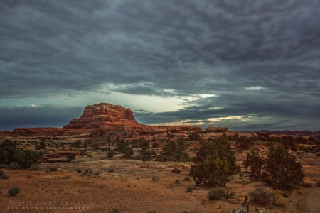 Canyonlands - The Needles District