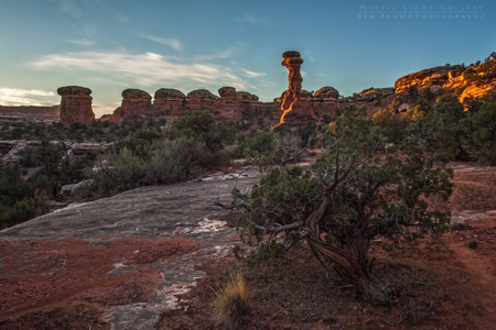 Canyonlands - The Needles District