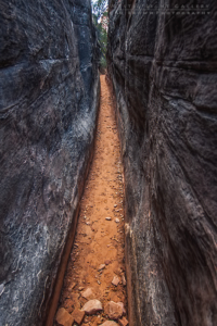 Canyonlands - The Needles District