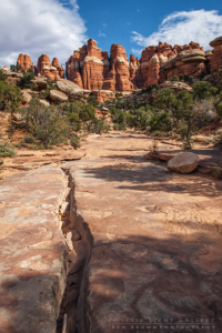 Canyonlands - The Needles District