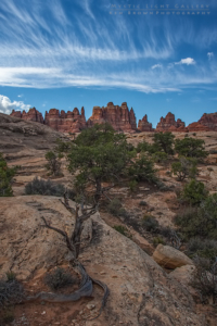 Canyonlands - The Needles District