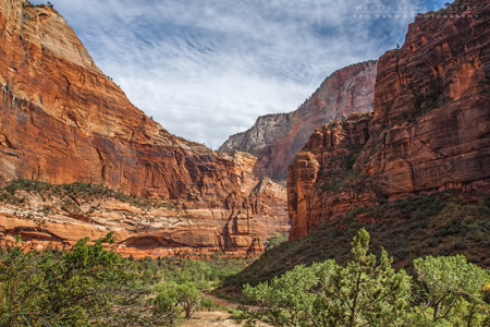 Zion National Park