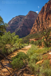 Zion National Park