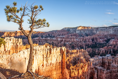 Bryce Canyon National Park