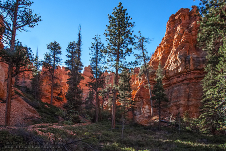 Bryce Canyon National Park