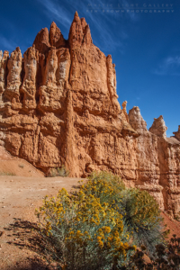 Bryce Canyon National Park