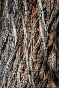 Escalante River Canyon