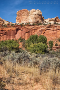 Escalante River Canyon