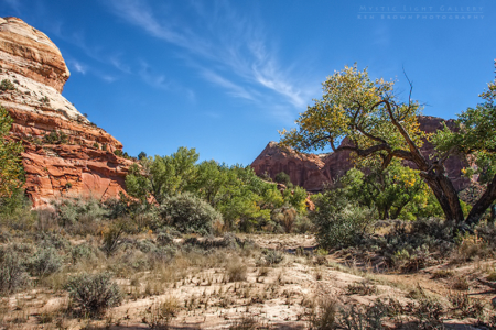 Escalante River Canyon